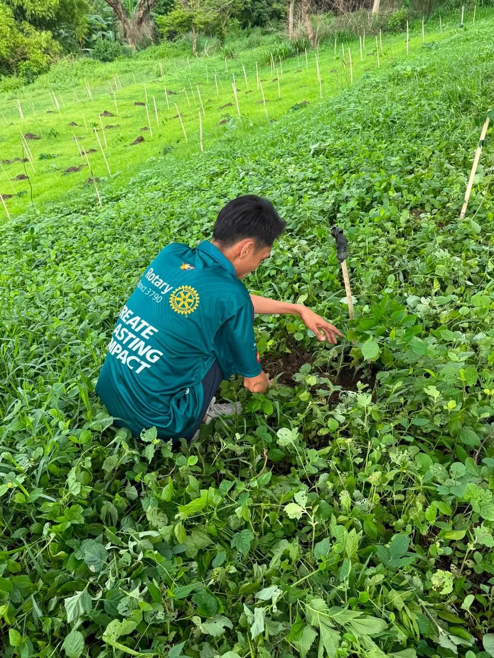 New Rotary Year Kick-Off: Convoy and Tree Planting — photo 4