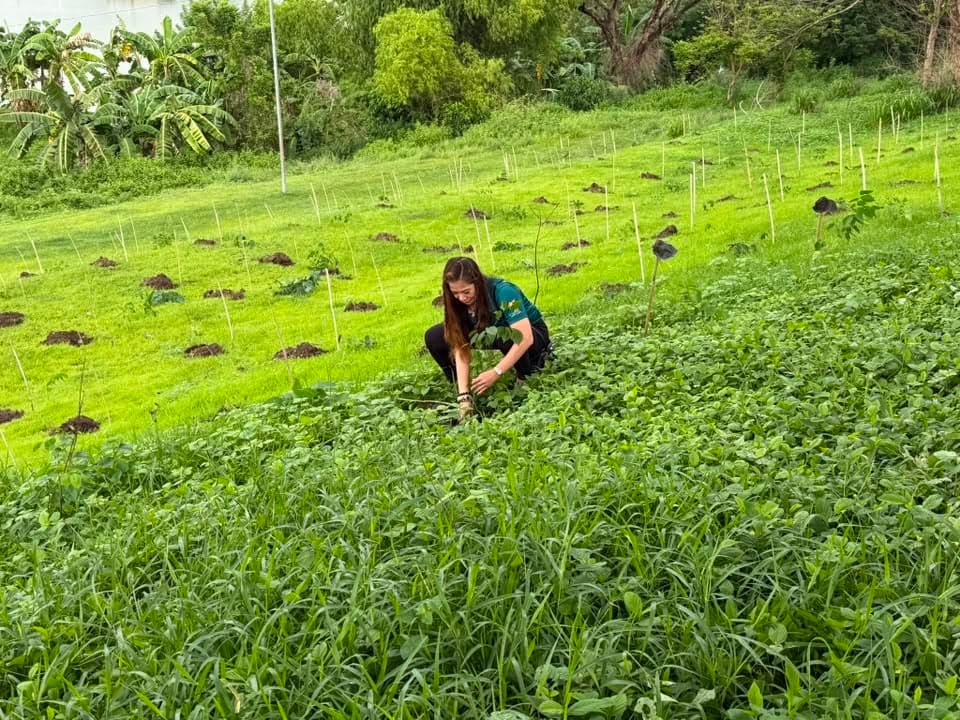 New Rotary Year Kick-Off: Convoy and Tree Planting — photo 5
